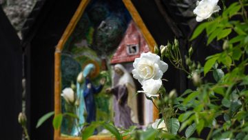 aylesford-priory-garden-flower-1140-641