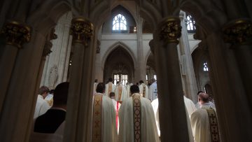 Pope’s Vocation Day message: Our mission is to be Christ’s presence to all